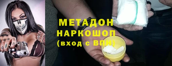 прущие грибы Инта