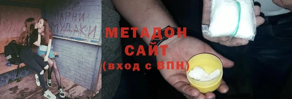 прущие грибы Инта