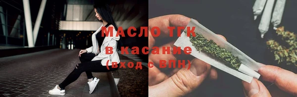 прущие грибы Инта
