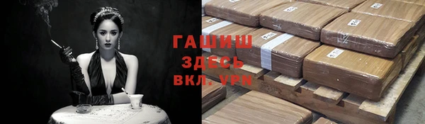 прущие грибы Инта