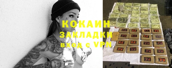 прущие грибы Инта