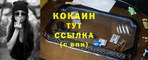 прущие грибы Инта